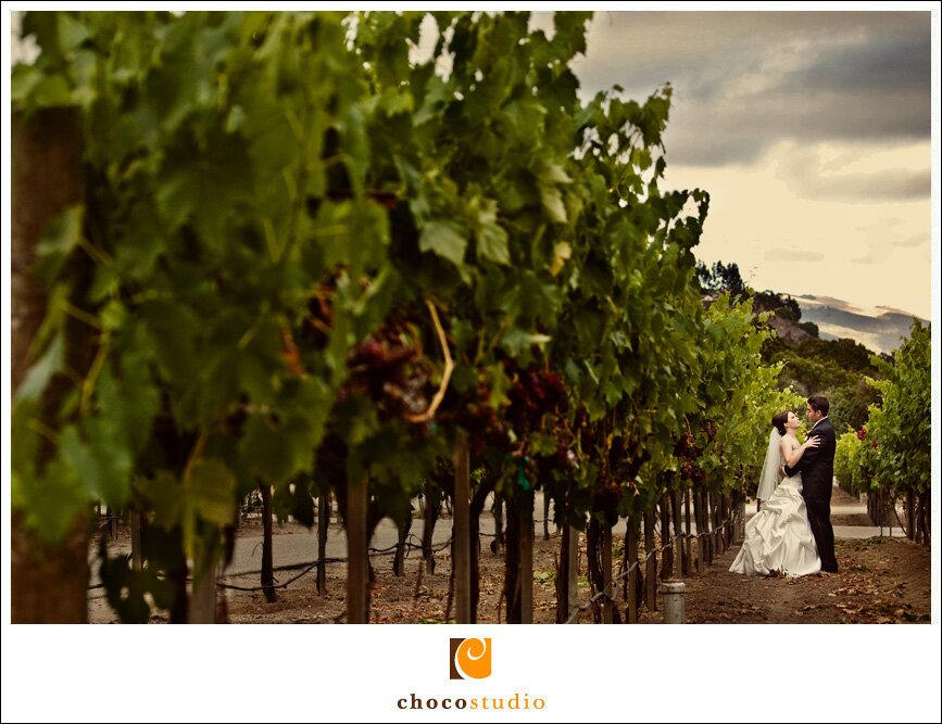 Photo of a bride and groom in the vineyards