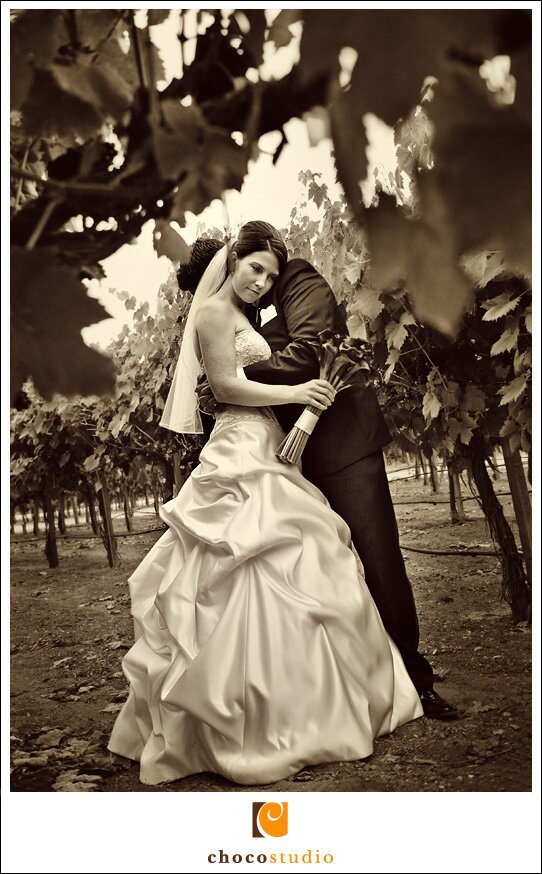 Jen and Ignacio's vineyard photo