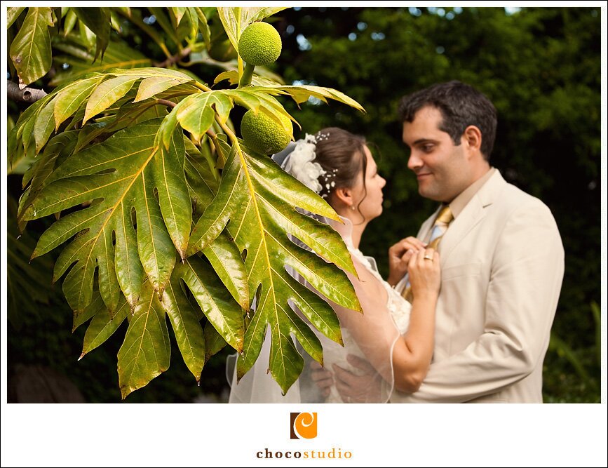 Tropical Bride and Groom Photo