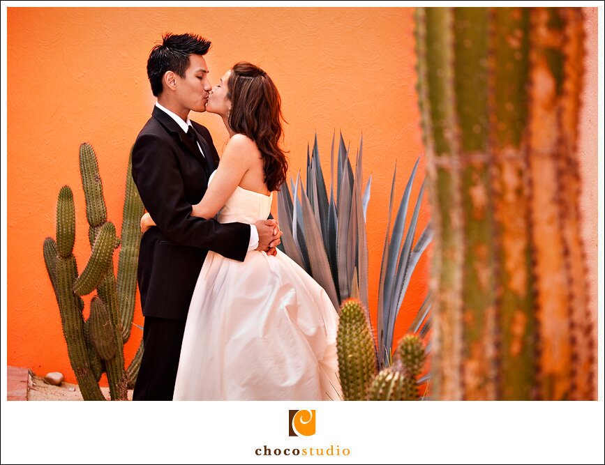 Bride and Groom with Agave and Cacti at the Westin in Los Cabos