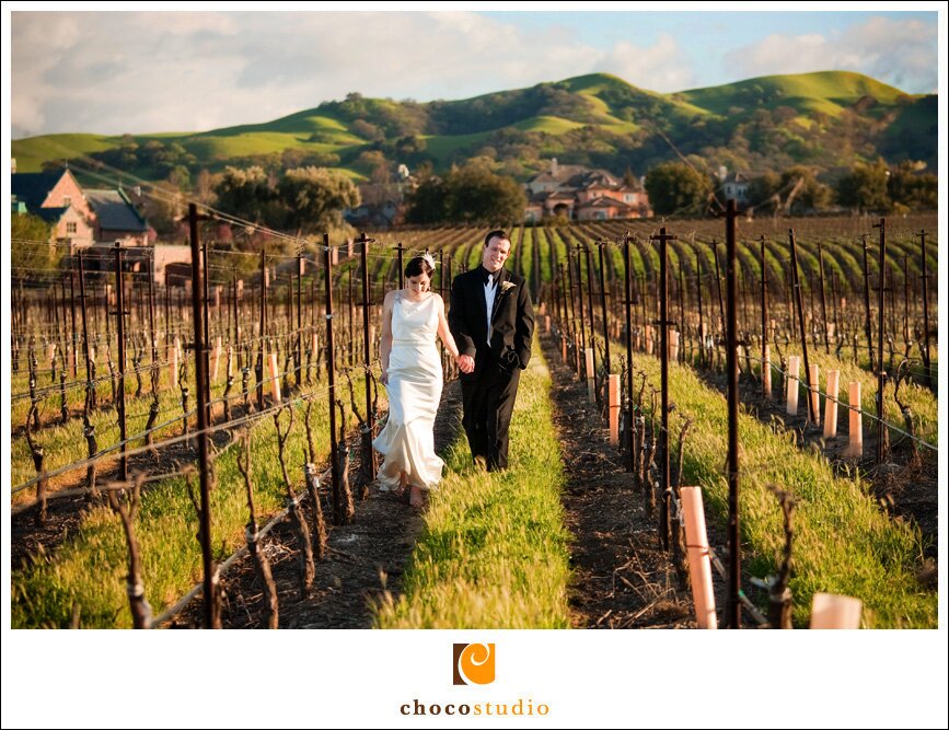 Casa Real Wedding Photo in the Vineyards