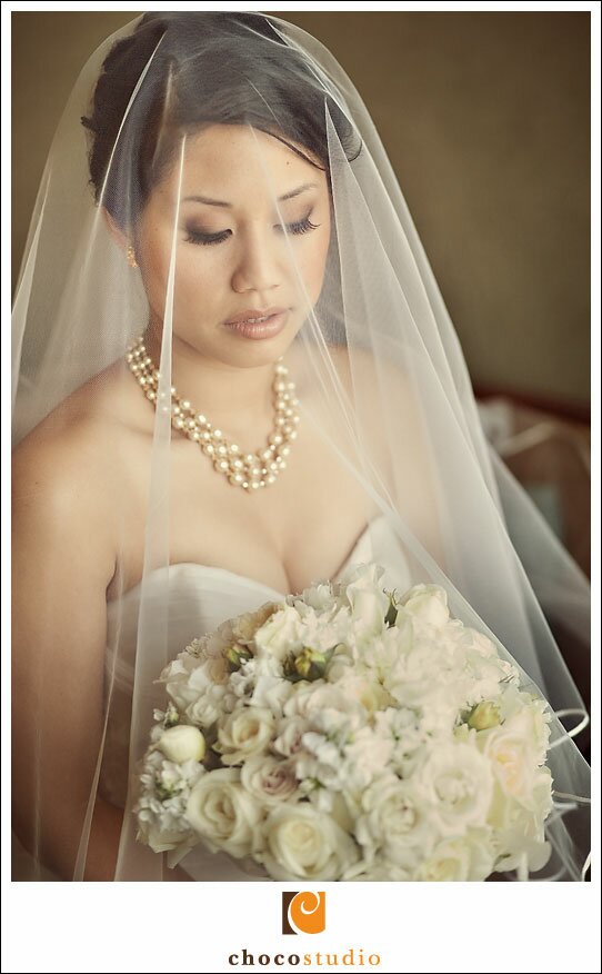 Kohl Mansion Wedding Portrait of Bride Kohl Mansion Wedding Portrait of Bride
